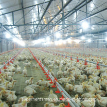 Automatic Poultry Farm Water Drinkers for Chicken